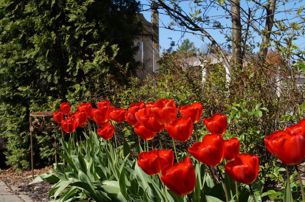 In Elegance Bed and Breakfast Niagara-on-the-Lake Exterior foto